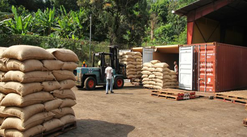 Côte d’Ivoire : Prime Group, le mystérieux repreneur potentiel de Saf Cacao, n’a pas payé
